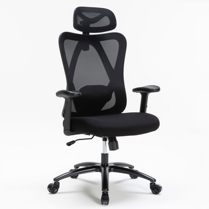 GHẾ CÔNG THÁI HỌC WARRIOR WEC501 PLUS BLACK