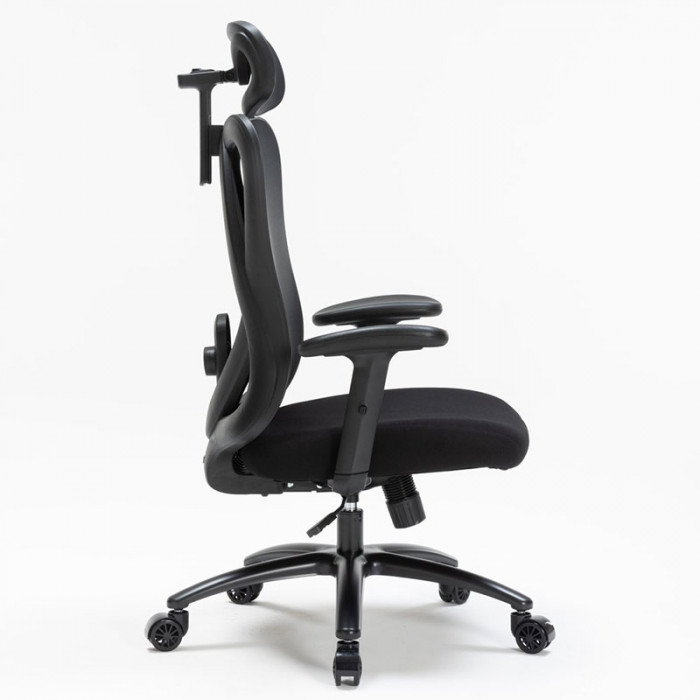 GHẾ CÔNG THÁI HỌC WARRIOR WEC501 PLUS BLACK