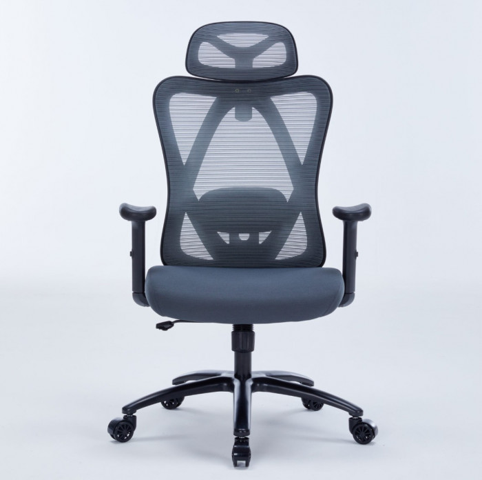 GHẾ CÔNG THÁI HỌC WARRIOR WEC501 PLUS Grey