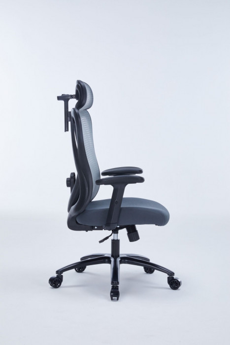 GHẾ CÔNG THÁI HỌC WARRIOR WEC501 PLUS Grey