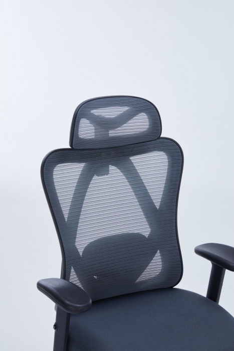 GHẾ CÔNG THÁI HỌC WARRIOR WEC501 PLUS Grey