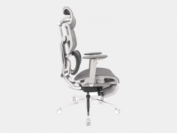 GHẾ Công thái học Epione AliusChair - Cool Gray