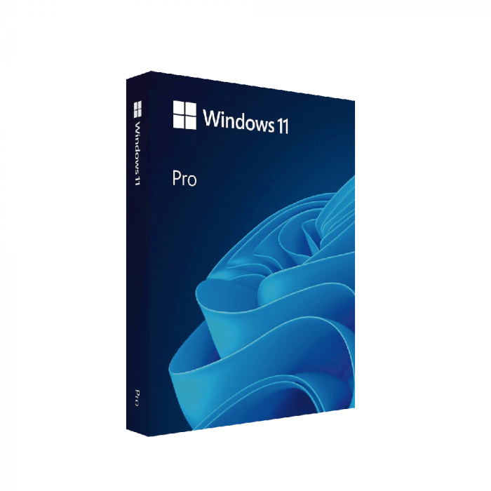 Microsoft Windows Pro 11 64Bit USB FPP