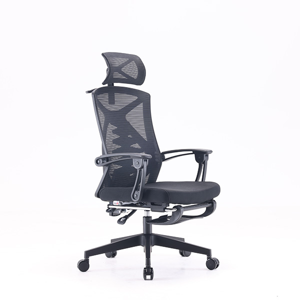 Ghế công thái học Ergolife M92B Ergonomic Office Chair