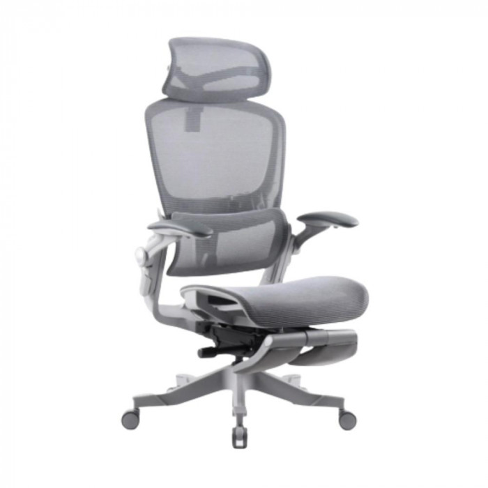 Ghế công thái học Epione Easy Chair (Gray) 