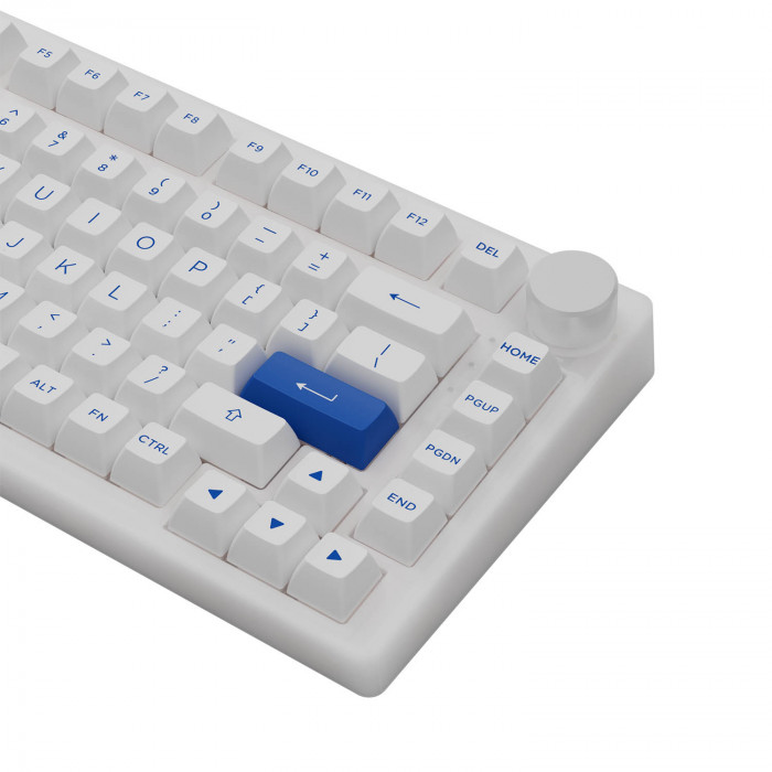 Bàn phím cơ AKKO PC75B Plus Blue on White – AKKO Switch