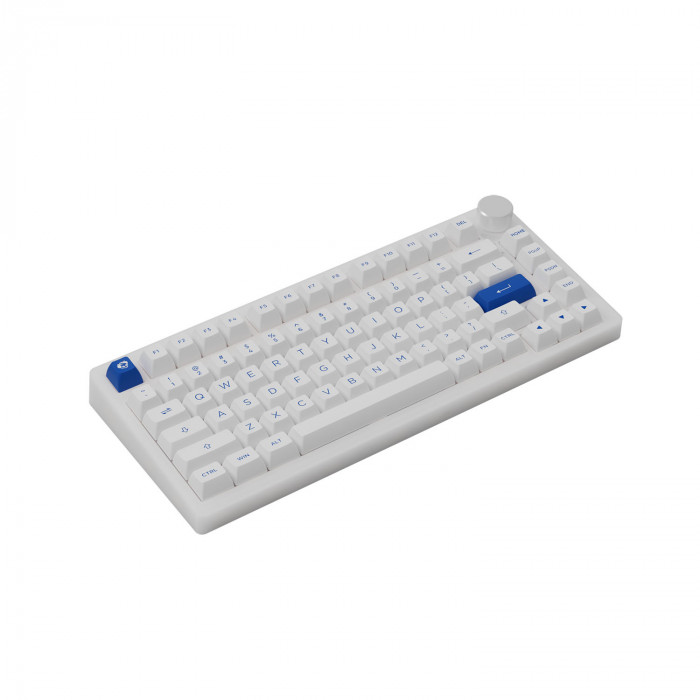 Bàn phím cơ AKKO PC75B Plus Blue on White – AKKO Switch