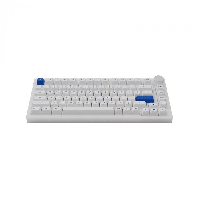 Bàn phím cơ AKKO PC75B Plus Blue on White – AKKO Switch