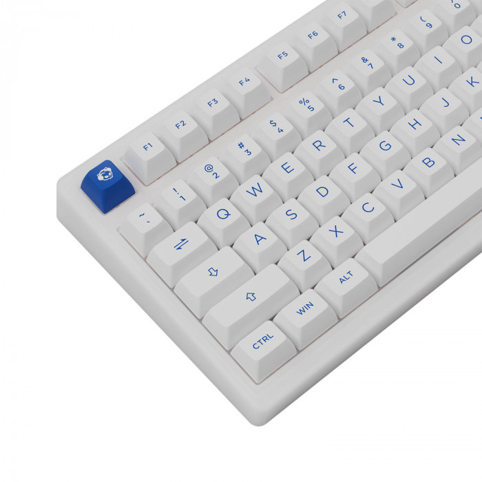 Bàn phím cơ AKKO PC75B Plus Blue on White – AKKO Switch