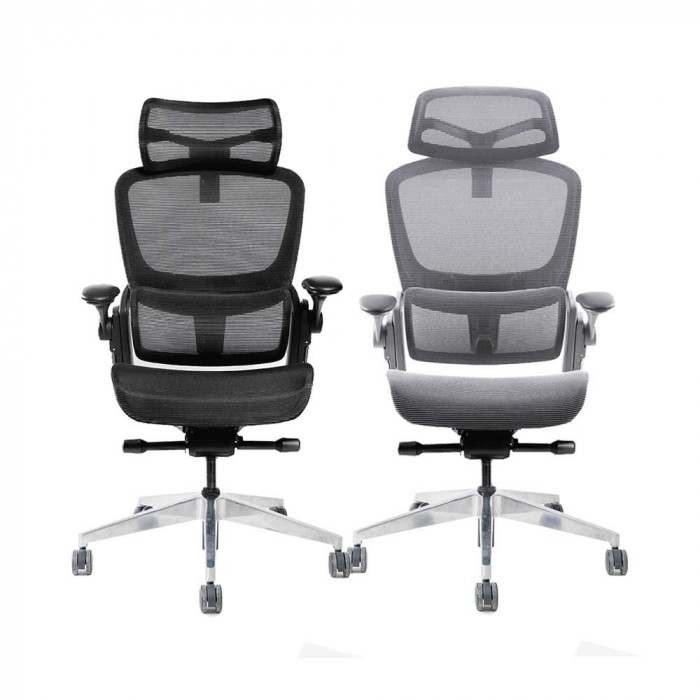 Ghế công thái học Epione Easy Chair SE (Bản mới nhất) - Grey