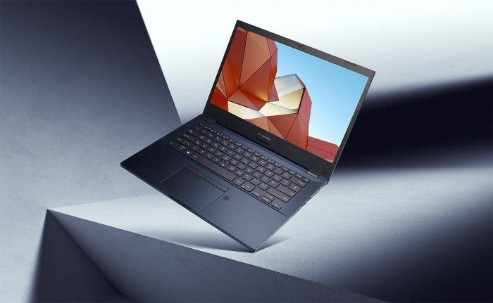 Laptop Asus ExpertBook P2451F (i3 10110U/4GB/256GB)