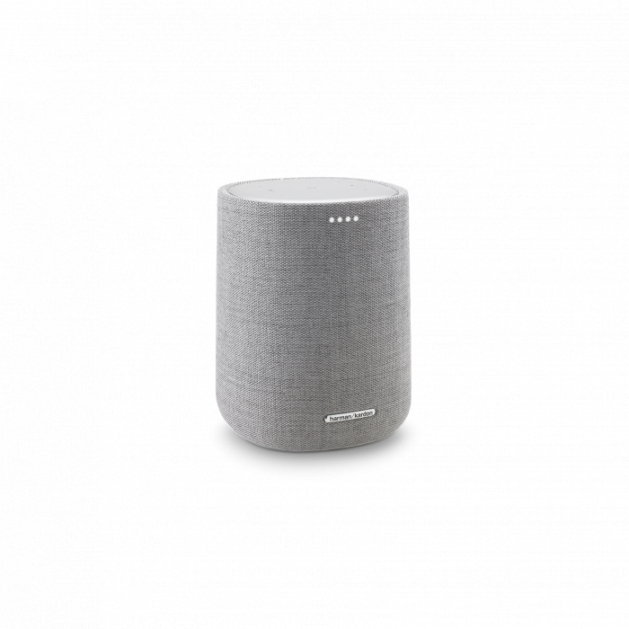 Loa Harman Kardon CITATION ONE - Grey