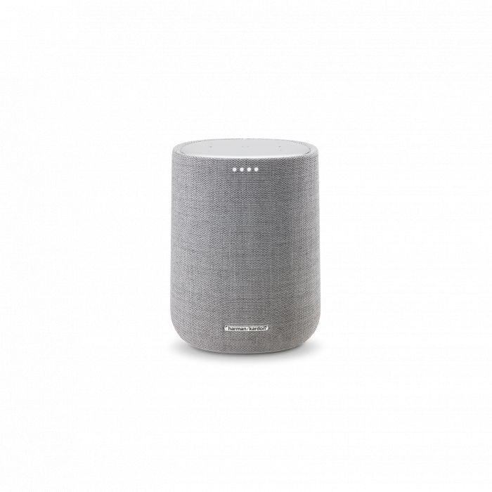 Loa Harman Kardon CITATION ONE - Grey