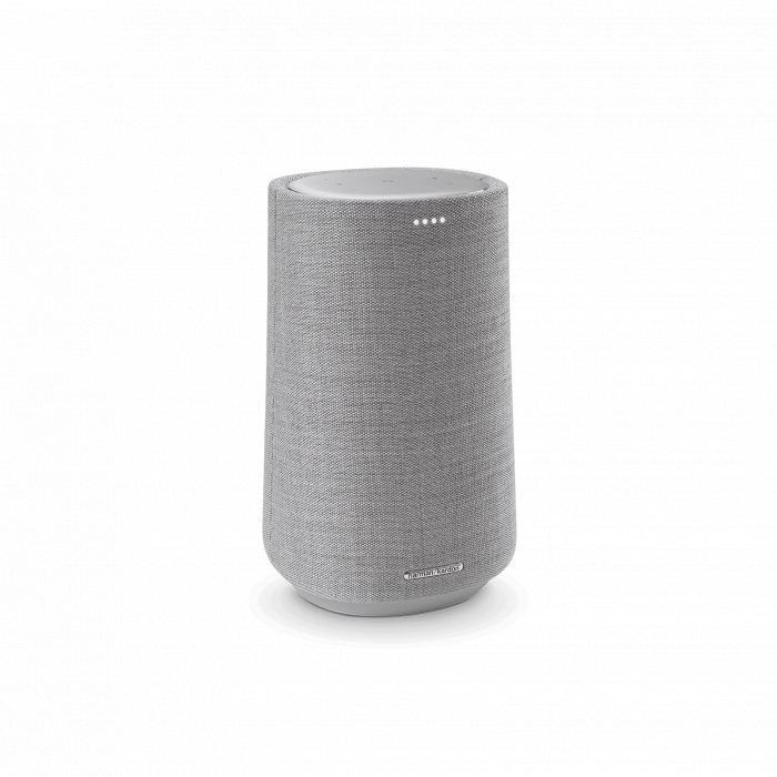 Loa Harman Kardon CITATION 100 - Grey