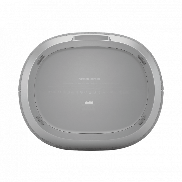 Loa Harman Kardon CITATION SUB - Grey