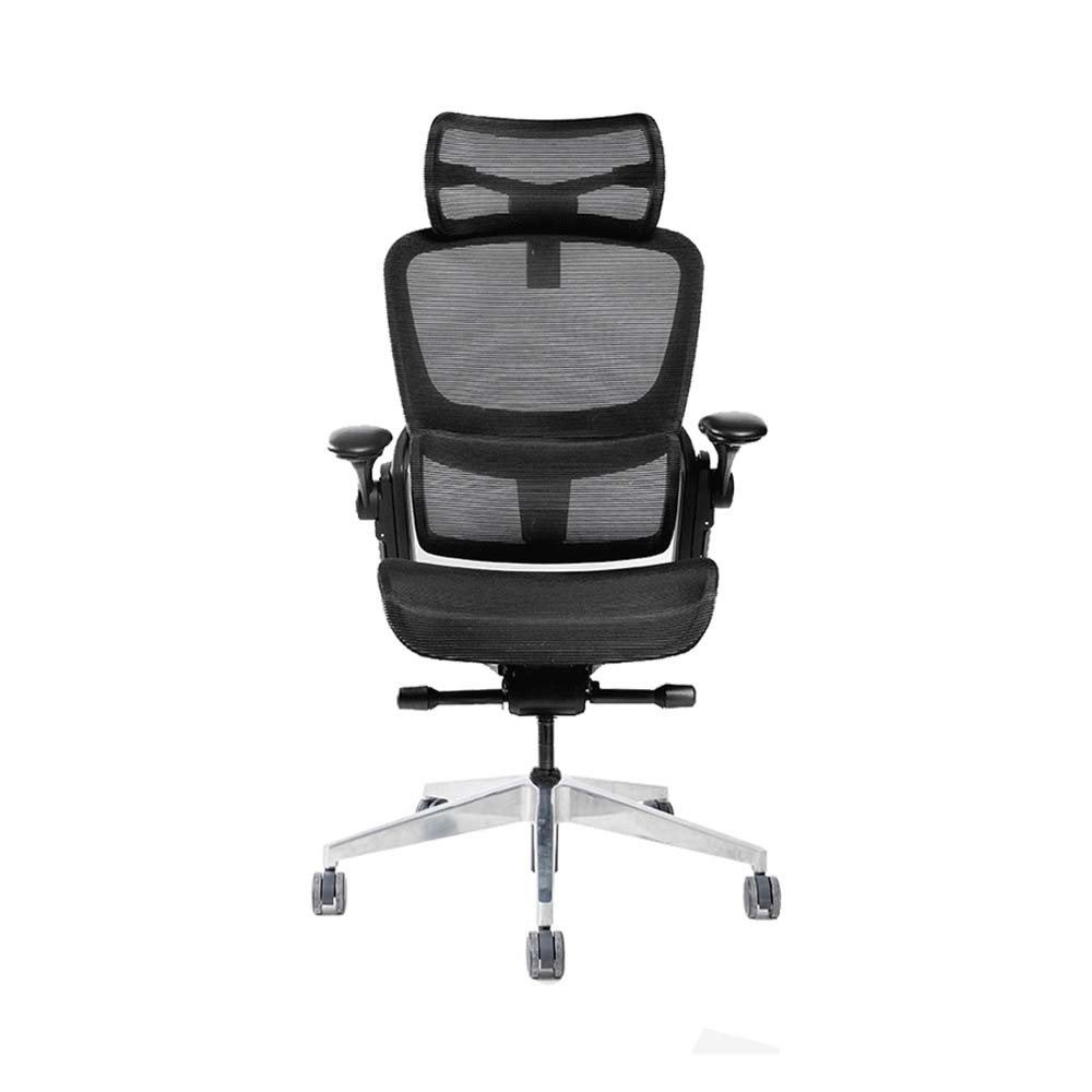 Ghế công thái học Epione Easy Chair SE (Bản mới nhất) - Black