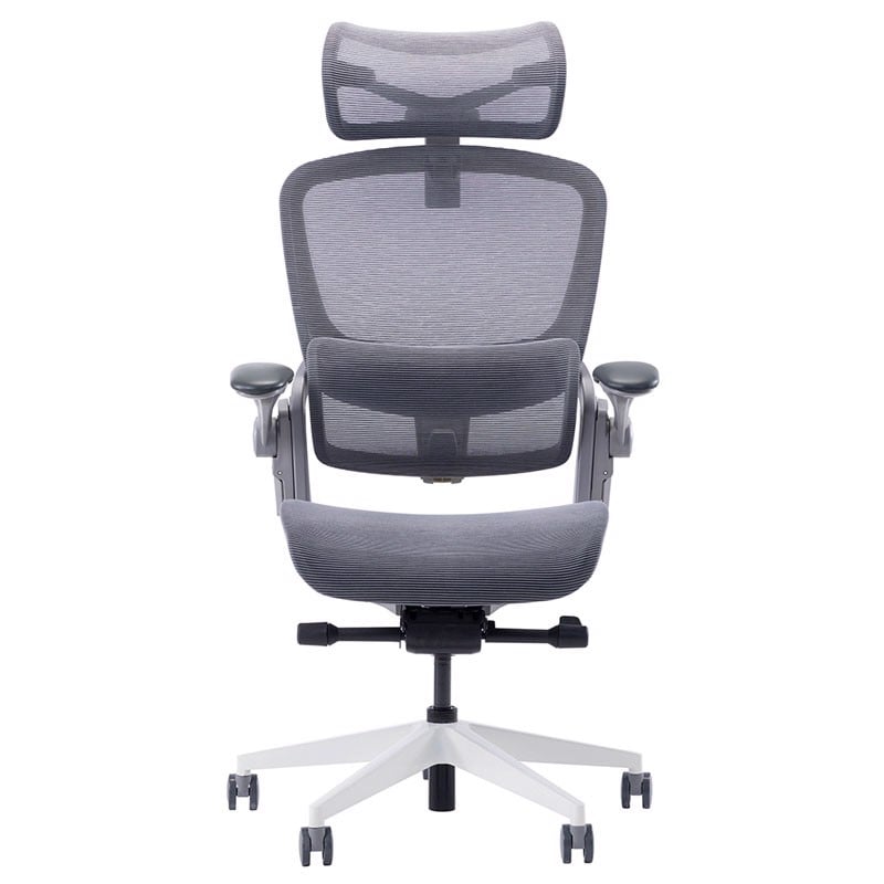 Ghế công thái học Epione Easy Chair 2.0 Cool Gray